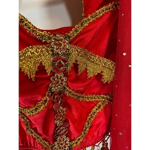 Red & Gold Lehenga Choli Set By Ellydoor M 90% Polyester & 10% Spandex - Picture 1 of 19