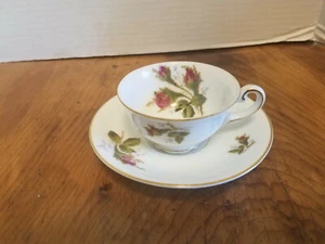 Vintage ROSSETTI Moss Rose Occupied Japan Espresso Demitasse Cup and Saucer - Picture 1 of 7