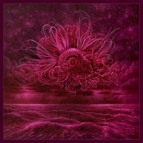 In Mourning Garden of Storms (CD) Box Set - Image 1 of 1