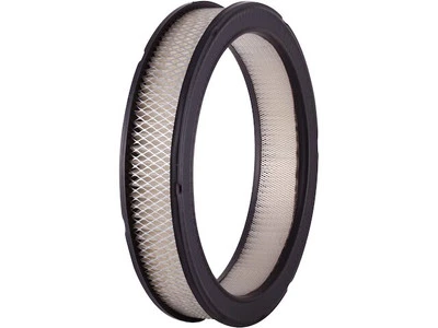 Filtro de aire para furgoneta GMC P25/P2500 1971 Premium Guard 77576VWRY filtro de aire del motor Foto 1 de 2