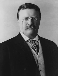 US PRESIDENT THEODORE TEDDY ROOSEVELT 8X10 GLOSSY PHOTO PICTURE IMAGE #2 - Picture 1 of 1