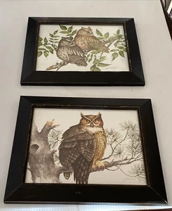 Vintage 2er Set J. Lockhart Kunstdruck Eule in Natur schön gerahmt signiert - Bild 1 von 24