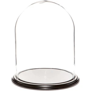 Cúpula de exhibición de vidrio Plymor 11,75" x 15" (base de chapa de madera negra) - Imagen 1 de 1