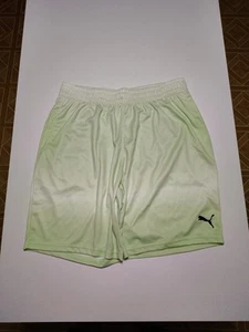Puma Herren XL 10 Inch Shorts Grün C3 Neu - Bild 1 von 15