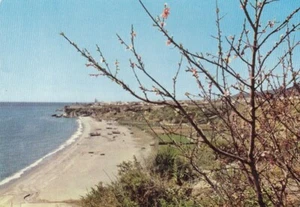 Nerja (Málaga), Playa de Burriana ¿glum 1970? F2409 - Imagen 1 de 2