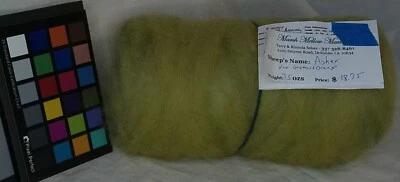 Variegated Lt Green romney wool roving spinning felting weaving fiber art - Image 1 of 3