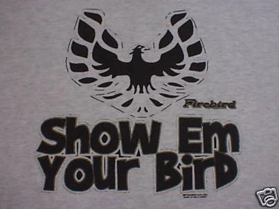 FIREBIRD T-SHIRT~~SHOW EM YOUR BIRD~ -Large or XL ONLY - Image 1 of 2