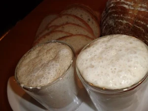Set, Roggen-Sauerteig, 60 g und Weizensauerteig 60 g , Anstellgut mit 3 Schaber - Bild 1 von 7