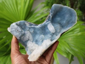 Apophyllite Crystal On Blue Coral Geode Natural Mineral Specimen #M79 - Picture 1 of 6