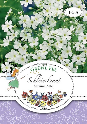 Schleierkraut Maxima Alba 13545 Sämereien Blumen Samen - Bild 1 von 2