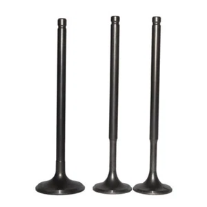 3Pcs Intake Exhaust Valve for Honda NTV650 NV600 Shadow VT600C XL600V Steed 400 - Picture 1 of 2