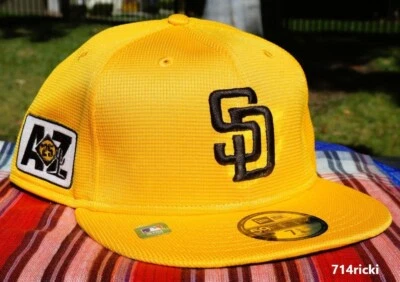 2025 MLB Spring Training San Diego Padres Fitted Hat New Era 59FIFTY On Field - Image 1 of 4