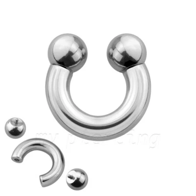 PAIR Surgical Steel Internally Threaded Horseshoe Circular Barbell Ear & Septum - Image 1 of 4