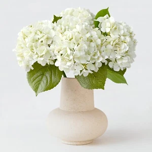 4PCS White Artificial Flowers Hydrangea 20" Real Touch Latex Faux Hydrangeas ... - Picture 1 of 9