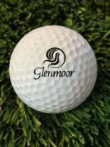 Glenmoor Country Club Logo Golf Ball- Cherry Hills Village Colorado CO - Picture 1 of 1