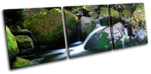 Stream Landscapes TREBLE LONA pared arte Foto impresion - Imagen 1 de 1