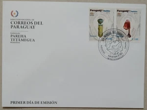 Paraguay CANCELLATION ERROR America UPAEP First Day Cover 2011-ZZIAA - Picture 1 of 3