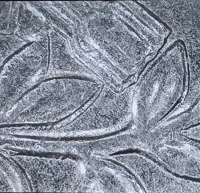 Cuarto D Washington 1994 RDA duplicación de hojas  Foto 1 de 4