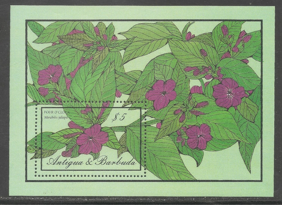 Antigua & Barbuda #957 (A163) S/S VF MNH - 1986 $5 Four O'Clock Flowers - Image 1 of 1