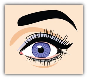 Female Eye Car Bumper Sticker Decal - Picture 1 of 1