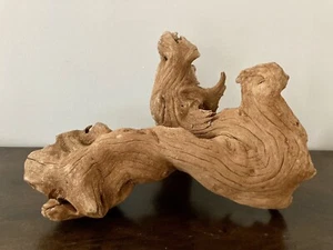 Bellissimo acquario Driftwood terrario pesciera legno naturale - MOLTO VERSATILE! - Foto 1 di 10