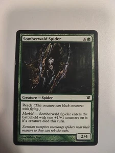 Somberwald Spider Innistrad - MTG - Picture 1 of 1