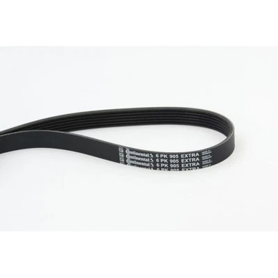 Cinghia Trapezoidale Continental Ctam 6PK905EXTRA per Bmw Citroen Peugeot Mini DS - Immagine 1 di 2