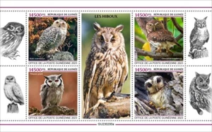 Owls MNH Stamps 2023 Guinea M/S - Picture 1 of 1