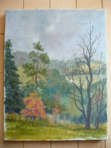 NANCY ALTMAN VINTAGE PAISAJE VIRGINIA OCCIDENTAL IMPRESIONISTA PLEIN AIR ÓLEO FIRMADO  - Imagen 1 de 8