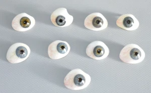 9 x Prothese Glasauge Augenprothese gebraucht Fach #F3 - Picture 1 of 7
