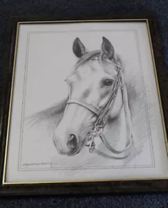 vintage pollyanna Horse sketch/drawing - Picture 1 of 5