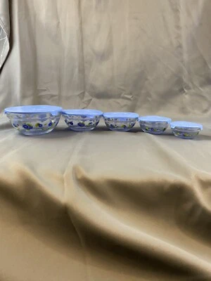 Juego de 5 cuencos de almacenamiento de alimentos florales resistentes al calor duraderos de vidrio imperial azules Foto 1 de 4