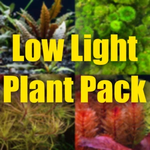$100 Low Light Aquarium Plant Package beginner easy plants aquatic plants - Picture 1 of 6