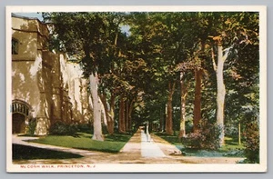 Postcard McCosh Walk Princeton University Campus New Jersey - Picture 1 of 2