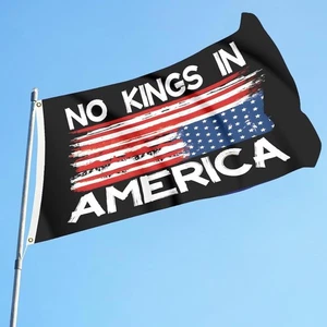 No Kings In America Since 1776 3x5Ft Flag Garden Yard Sign Outdoor Banner 150D - Picture 1 of 5