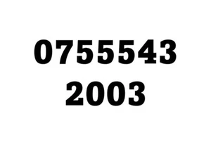 EASY MEMORABLE MOBILE PHONE NUMBER SIM CARD VIP BUSINESS GOLD VODAFONE - Zdjęcie 1 z 1