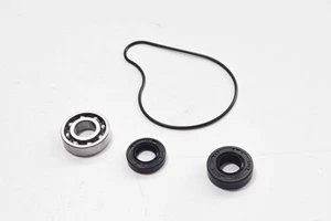 403460870 - WARTUNGSSATZ WASSERPUMPE WR 250 F 2001>2014 - Bild 1 von 1