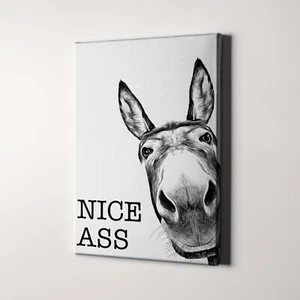 Nice Ass Donkey Funny Animal Bathroom Toilet Black White Canvas Wall Art Print - Picture 1 of 7
