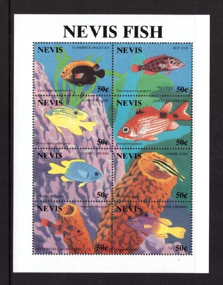 Juego de estampillas de pescado Nevis 1994 montadas como nuevas Foto 1 de 1