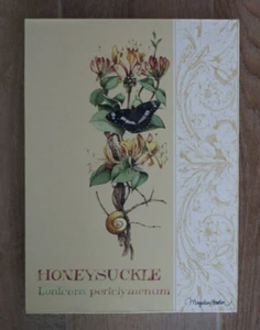 YBOT Honeysuckle canvas wall art Marjolein Bastin hanging plaque butterfly snail - Picture 1 of 12