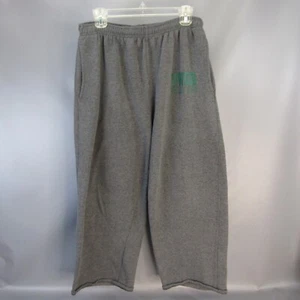 Pantalones deportivos de pierna ancha UWGB para mujer talla L pantalones al tobillo UW-Green Bay Phoenix - Imagen 1 de 8