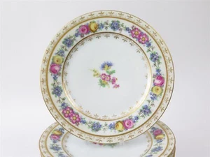 (11) Thomas Sèvres Bavaria Dresden Works Saxony Dinner Plates Floral Gold Trim - Picture 1 of 6