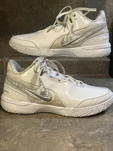 Size 10.5- Nike Zoom LeBron NXXT Gen AMPD White Metallic Silver - Picture 1 of 9