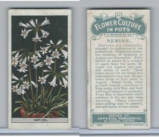 C13 Imperial Tobacco, Flower Culture, 1925, #35 Nerine