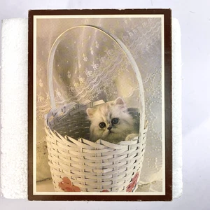 Vintage 70er Jahre Katze Kätzchen Wand oder Tischplatte Plakette Foto auf Pressbrett - Bild 1 von 8