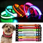 Sicherheit Anti-Lost leuchtendes Hundezubehör leuchtend geführtes Hundehalsband Haustier Hundehalsbänder