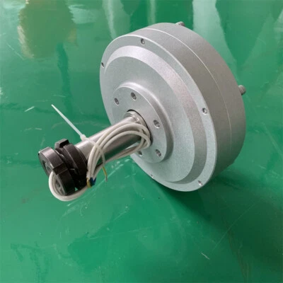 500W 12V24V48V Wind Turbine Outer Rotor Dynamo Permanent Stator Magnet Generator - Bild 1 von 4