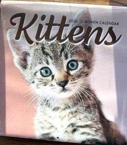 2026 Wall Calendar -Kittens-12 Month-12 x 12 Inches New SEALED - Picture 1 of 2