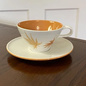 Informal True China by Iroquois Harvest Time Cup & Saucer ~ Ben Seibel Design - Picture 1 of 16