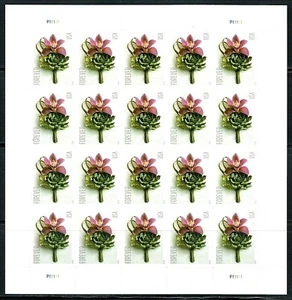 Panel Boutonniere contemporáneo de Estados Unidos de 20 estampillas Forever Scott # 5457 (MNH) como nuevo - Imagen 1 de 1